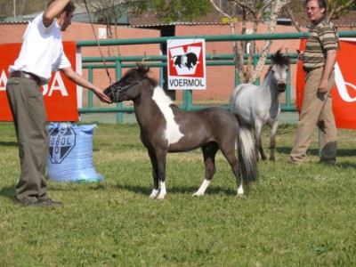 Silverado in Senior Class